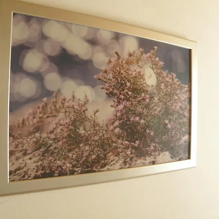 Apartmán Amalija *